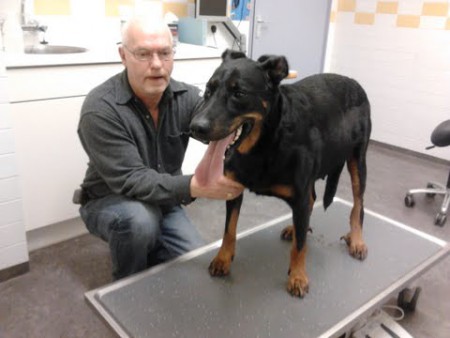 Angie voor de keizersnede