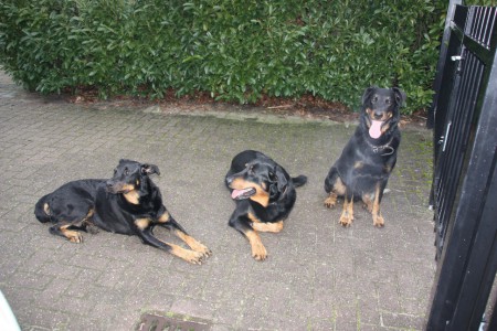 Angie, Aaron, Deejay sr.19022013