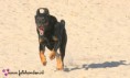 /album/deejay-vader-van-de-pups-/img-4833-jpg/